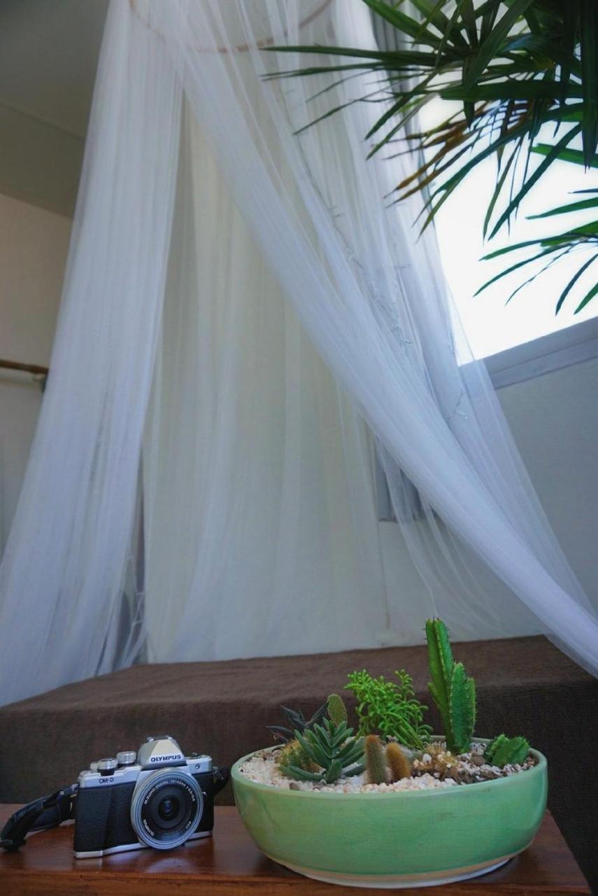 Bed and Breakfast Mountscene At Cervidae Chiang Mai Esterno foto